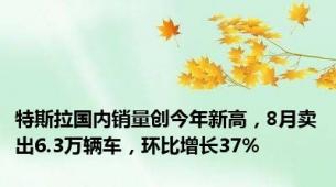 特斯拉国内销量创今年新高，8月卖出6.3万辆车，环比增长37%