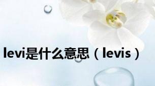 levi是什么意思（levis）