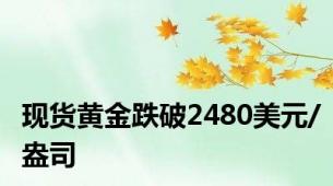 现货黄金跌破2480美元/盎司