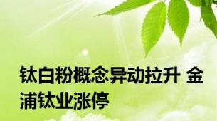 钛白粉概念异动拉升 金浦钛业涨停