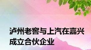 泸州老窖与上汽在嘉兴成立合伙企业