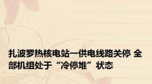 扎波罗热核电站一供电线路关停 全部机组处于“冷停堆”状态