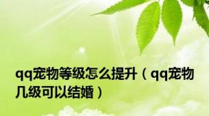 qq宠物等级怎么提升（qq宠物几级可以结婚）