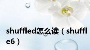 shuffled怎么读（shuffle6）