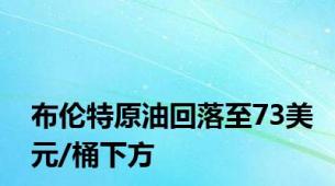 布伦特原油回落至73美元/桶下方