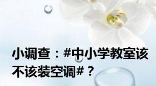 小调查：#中小学教室该不该装空调#？