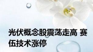 光伏概念股震荡走高 赛伍技术涨停