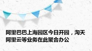 阿里巴巴上海园区今日开园，淘天阿里云等业务在此聚合办公