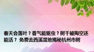 春天会落叶？香气能驱虫？树干被掏空还能活？ 免费去西溪湿地揭秘杭州市树