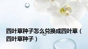 四叶草种子怎么兑换成四叶草（四叶草种子）