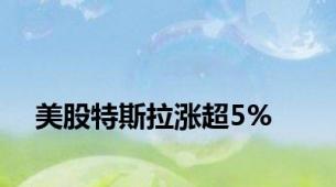 美股特斯拉涨超5%