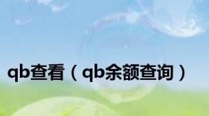 qb查看（qb余额查询）