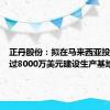 正丹股份：拟在马来西亚投资不超过8000万美元建设生产基地