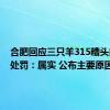 合肥回应三只羊315糟头肉未受处罚：属实 公布主要原因