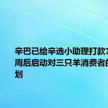 辛巴已给辛选小助理打款1亿元 一周后启动对三只羊消费者的赔付计划