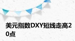 美元指数DXY短线走高20点