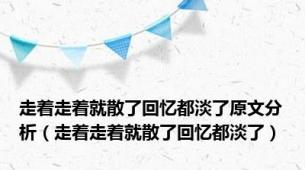 走着走着就散了回忆都淡了原文分析（走着走着就散了回忆都淡了）