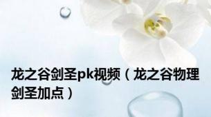 龙之谷剑圣pk视频（龙之谷物理剑圣加点）