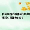 社会实践心得体会3000字（社会实践心得体会800）