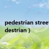 pedestrian street（pedestrian）