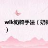 wlk奶骑手法（奶骑手法）