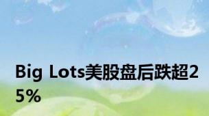 Big Lots美股盘后跌超25%