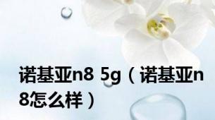 诺基亚n8 5g（诺基亚n8怎么样）