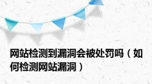 网站检测到漏洞会被处罚吗（如何检测网站漏洞）