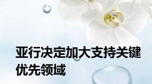 亚行决定加大支持关键优先领域