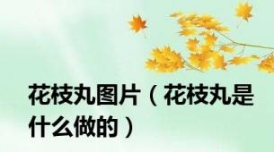 花枝丸图片（花枝丸是什么做的）