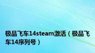 极品飞车14steam激活（极品飞车14序列号）