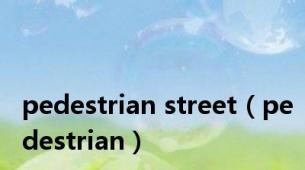 pedestrian street（pedestrian）