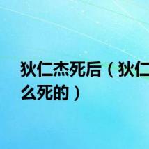 狄仁杰死后（狄仁杰怎么死的）