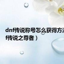 dnf传说称号怎么获得方法（dnf传说之尊者）