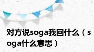 对方说soga我回什么（soga什么意思）