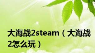 大海战2steam（大海战2怎么玩）