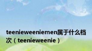 teenieweeniemen属于什么档次（teenieweenie）