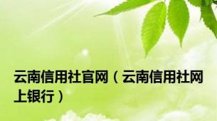 云南信用社官网（云南信用社网上银行）