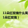 11朵红玫瑰什么寓意（11朵红玫瑰）