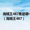 海贼王487集是哪一年的（海贼王487）