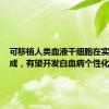 可移植人类血液干细胞在实验室制成，有望开发白血病个性化疗法