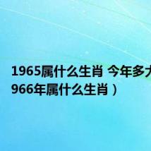 1965属什么生肖 今年多大了（1966年属什么生肖）