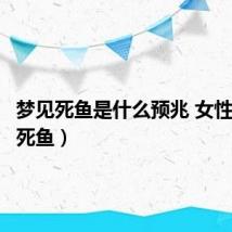 梦见死鱼是什么预兆 女性（梦见死鱼）