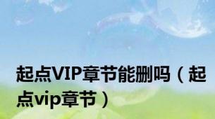 起点VIP章节能删吗（起点vip章节）