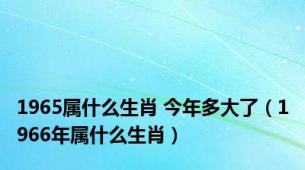 1965属什么生肖 今年多大了（1966年属什么生肖）