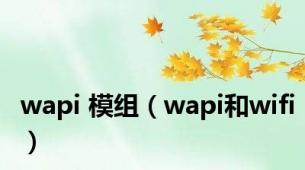 wapi 模组（wapi和wifi）