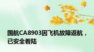 国航CA8903因飞机故障返航，已安全着陆