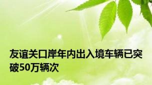 友谊关口岸年内出入境车辆已突破50万辆次