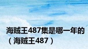 海贼王487集是哪一年的（海贼王487）