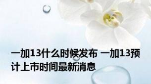 一加13什么时候发布 一加13预计上市时间最新消息